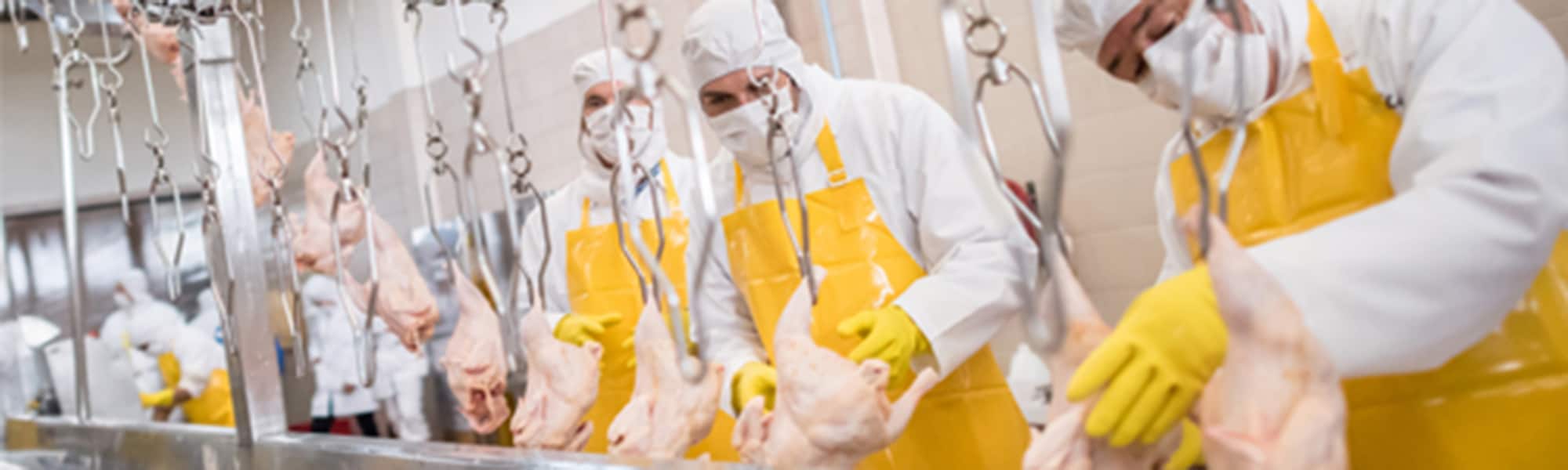 Poultry inline processing