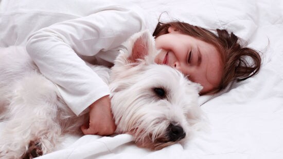 Dog and girl